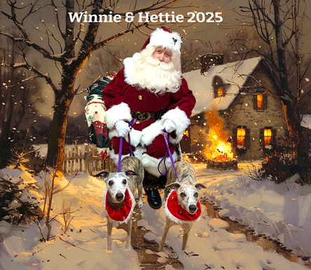 So Real Santa with Winnie and Hettie!