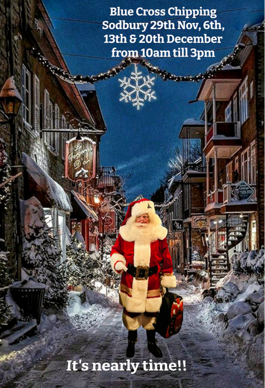 So Real Santa Blue Cross